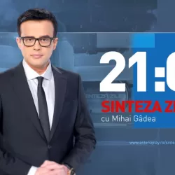 Sinteza zilei