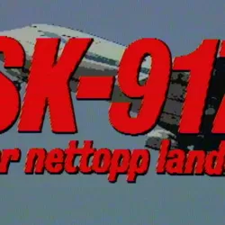 SK 917 har nettopp landet