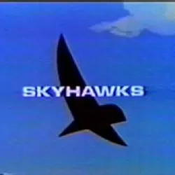 Skyhawks