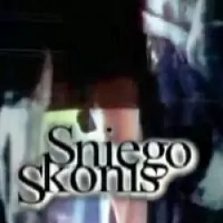 Sniego skonis