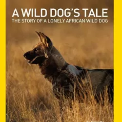 Solo: A Wild Dog's Tale