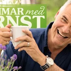 Sommar Med Ernst