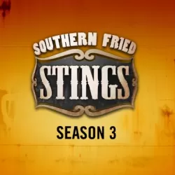 Southern Fried Stings