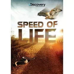 Speed of Life