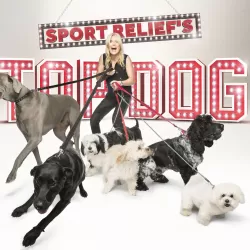 Sport Relief's Top Dog