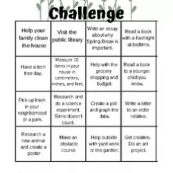 Spring Break Challenge