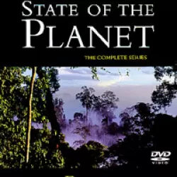 State of the Planet