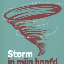 Storm in mijn hoofd