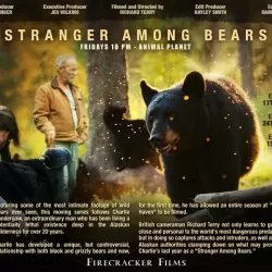 Stranger Among Bears