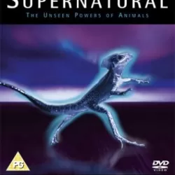 Supernatural: The Unseen Powers of Animals