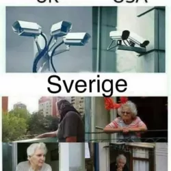 Svensk humor