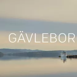SVT Nyheter Gävleborg