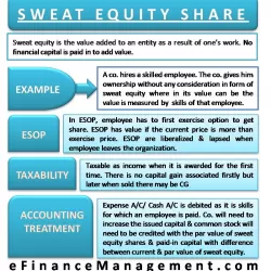 Sweat Equity