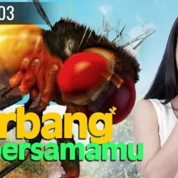 Terbang Bersamamu