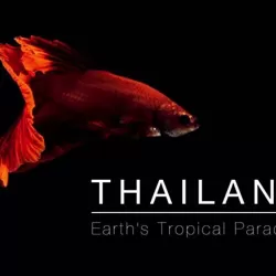 Thailand: Earth's Tropical Paradise