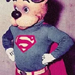 The Adventures of Superpup