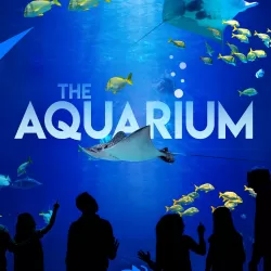 The Aquarium