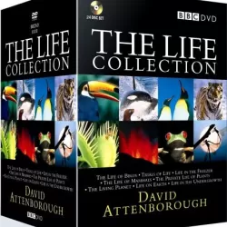 The Attenborough Collection