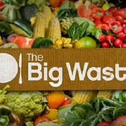 The Big Waste