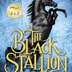 The Black Stallion