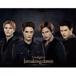 The Boys of Twilight