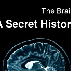 The Brain: A Secret History