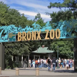 The Bronx Zoo