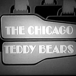 The Chicago Teddy Bears