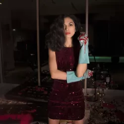 The Cleaning Lady