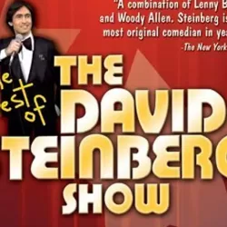 The David Steinberg Show