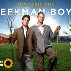 The Fabulous Beekman Boys