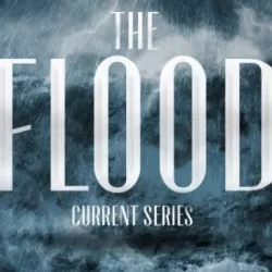 The Flood