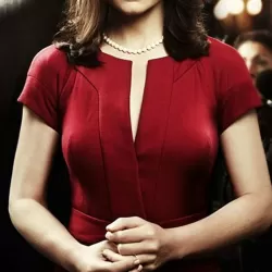 The Good Wife