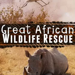 The Great African Wildlife Rescue