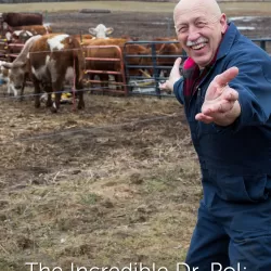 The Incredible Dr. Pol: Deja MOO!