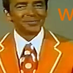 The Ken Berry "Wow" Show