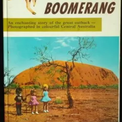 The Magic Boomerang