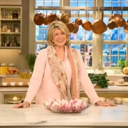 The Martha Stewart Show