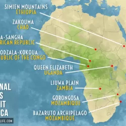 The National Parks of Africa