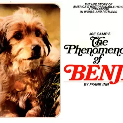 The Phenomenon Of Benji