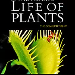 The Private Life of Plants