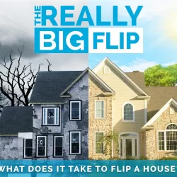 The Really Big Flip