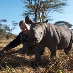 The Rhino Who Joined The Family: My Wild Affair