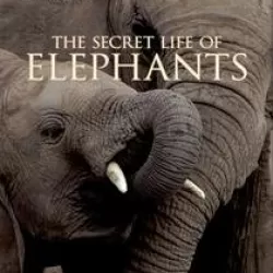 The Secret Life of Elephants