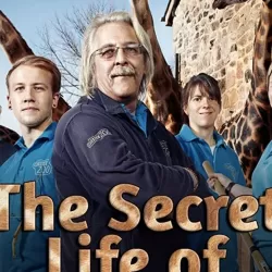 The Secret Life of the Zoo