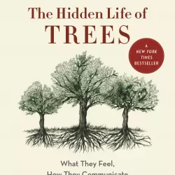 The Secret Life of Trees