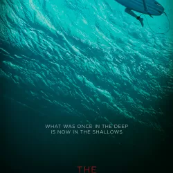 The Shallows