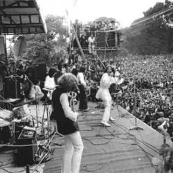 The Stones In The Park