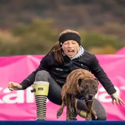 The Super Retriever Series Crown Championship