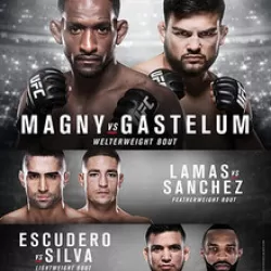 The Ultimate Fighter: Latin America 2